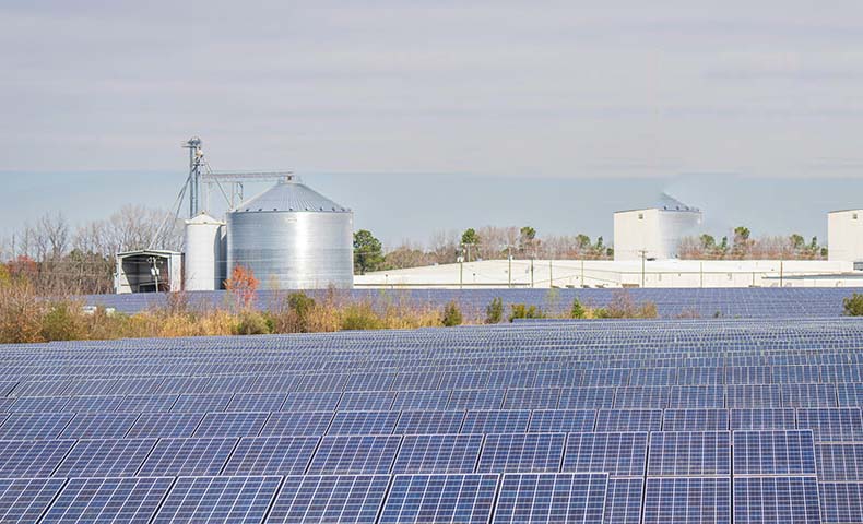 “Dual Carbon” Development Plan 2