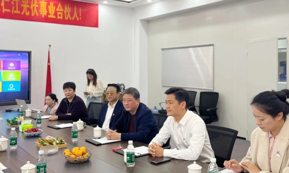 The China-Kazakhstan delegation has an in-depth connection with Renjiang Photovoltaics and jointly draws a blueprint for new energy cooperation（images 2）